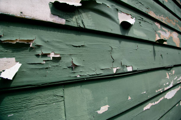 Best Stucco Siding  in Whitefish Bay, WI